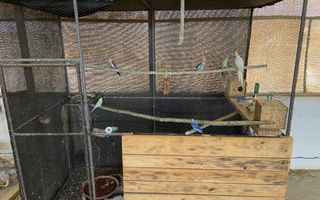 2 Bedroom House For Sale in River Plots, Swakopmund