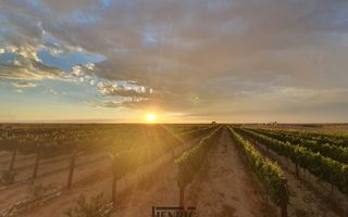 9 Bedroom House For Sale in Stampriet