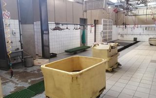 Industrial For Sale in Industrial, Walvis Bay