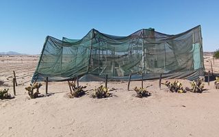 5 Bedroom Small Holding / Plot For Sale in Swakopmund River...