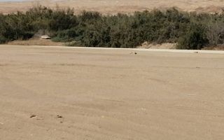 House For Sale in Heritage Hill