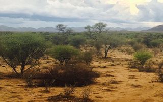 Small Holding / Plot For Sale in Okahandja