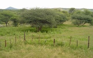 Small Holding / Plot For Sale in Okahandja