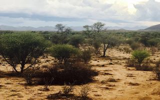 Small Holding / Plot For Sale in Okahandja