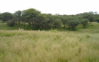 Small Holding / Plot For Sale in Okahandja