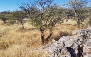 House For Sale in Okahandja