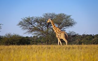 Hospitality For Sale in Aranos