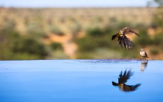 Hospitality For Sale in Aranos