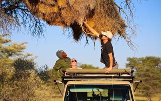 Hospitality For Sale in Aranos