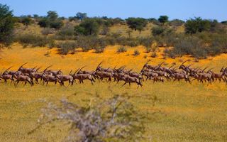 Hospitality For Sale in Aranos