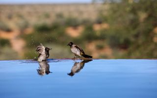 Hospitality For Sale in Aranos