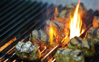 Hospitality For Sale in Aranos