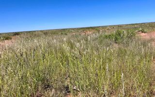 Farm For Sale in Keetmanshoop