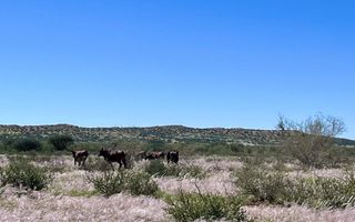 Farm For Sale in Keetmanshoop