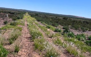 Farm For Sale in Keetmanshoop
