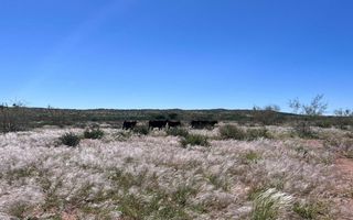 Farm For Sale in Keetmanshoop