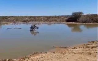 Farm For Sale in Keetmanshoop