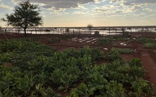 Farm For Sale in Keetmanshoop