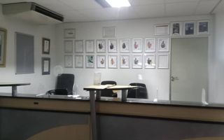 Office / Retail / Mixed Use To Rent in Windhoek Central