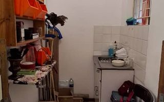 10 Bedroom Office / Retail / Mixed Use For Sale in Grootfont...