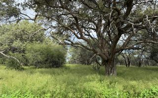 3 Bedroom Farm For Sale in Kamanjab