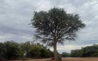 3 Bedroom Farm For Sale in Kamanjab