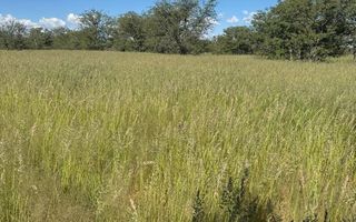 3 Bedroom Farm For Sale in Kamanjab