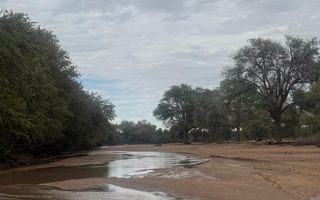 3 Bedroom Farm For Sale in Kamanjab