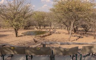 9 Bedroom Hospitality For Sale in Brakwater, Windhoek