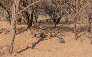 9 Bedroom Hospitality For Sale in Brakwater, Windhoek