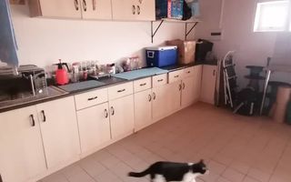 4 Bedroom House For Sale in Henties Bay Central, Henties Bay