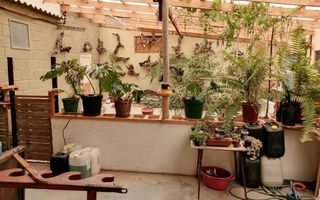 Office / Retail / Mixed Use For Sale in Henties Bay Central