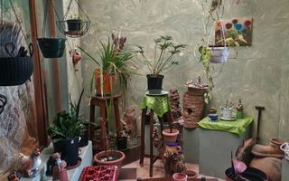 2 Bedroom House For Sale in Henties Bay Central