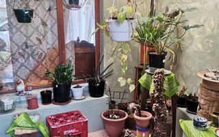 2 Bedroom House For Sale in Henties Bay Central