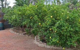 3 Bedroom House For Sale in Erospark, Windhoek