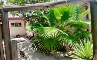 4 Bedroom House To Rent in Oshakati