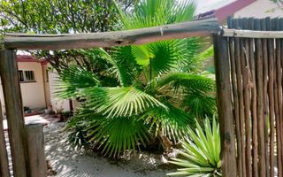 4 Bedroom House To Rent in Oshakati