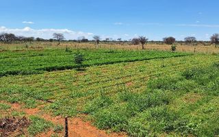 3 Bedroom Farm For Sale in Hochfeld