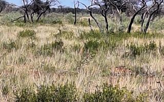 3 Bedroom Farm For Sale in Hochfeld