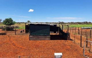 3 Bedroom Farm For Sale in Hochfeld