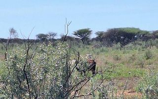 3 Bedroom Farm For Sale in Hochfeld