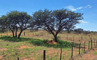 3 Bedroom Farm For Sale in Hochfeld