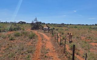 3 Bedroom Farm For Sale in Hochfeld