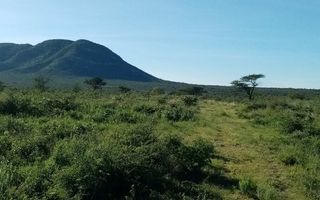 Small Holding / Plot For Sale in Otavi