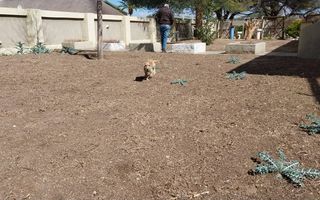 3 Bedroom House For Sale in Okahandja