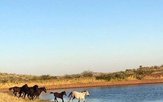 Farm For Sale in Keetmanshoop