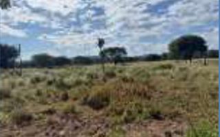 4 Bedroom Small Holding / Plot For Sale in Otavi