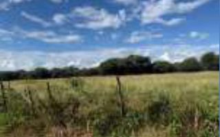 4 Bedroom Small Holding / Plot For Sale in Otavi