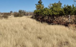 5 Bedroom Farm For Sale in Kalkrand