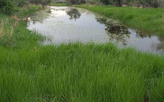 5 Bedroom Farm For Sale in Kalkrand